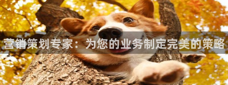 必赢平台网站多少