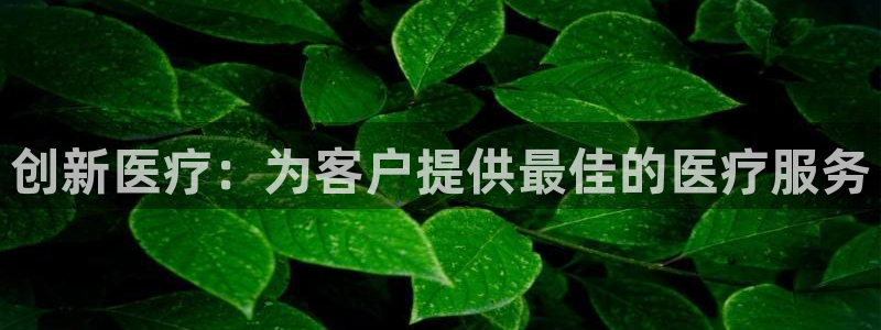 必赢国际437app下载