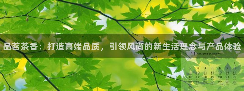 必赢网站有哪些