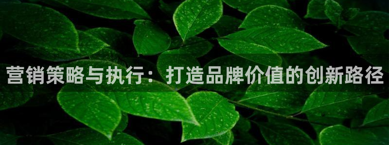 必赢集团网站首页