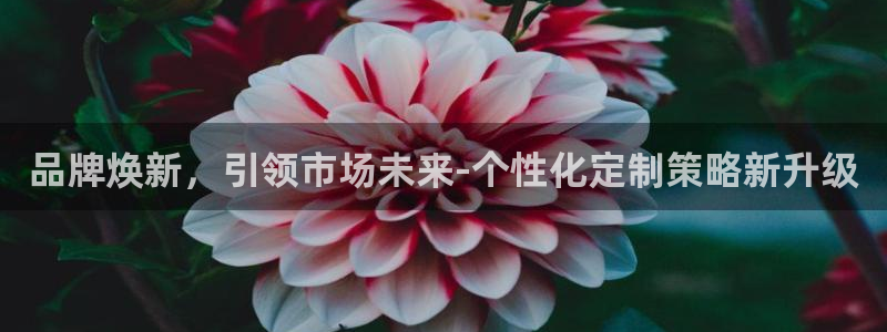 必赢线上网址查询