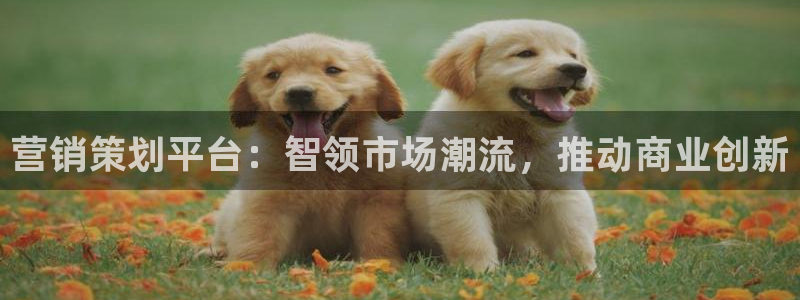 必赢3003注册3003登录