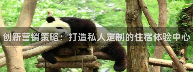 9965必赢棋官方网站怎么样