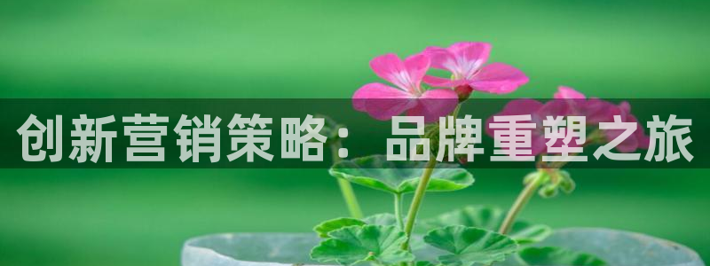 必赢官网app下载安装手机版最新版