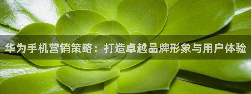 必赢国际软件下载