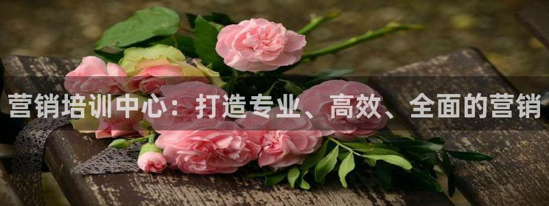 必赢亚赢网站官网下载安装